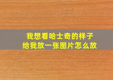 我想看哈士奇的样子给我放一张图片怎么放