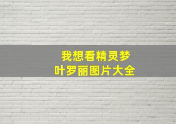 我想看精灵梦叶罗丽图片大全