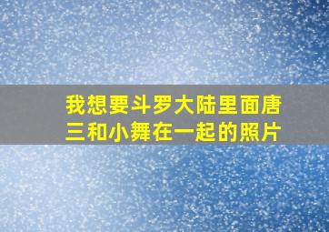 我想要斗罗大陆里面唐三和小舞在一起的照片