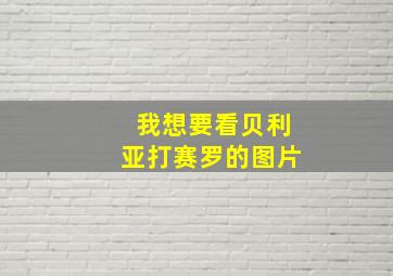 我想要看贝利亚打赛罗的图片