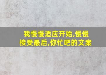 我慢慢适应开始,慢慢接受最后,你忙吧的文案