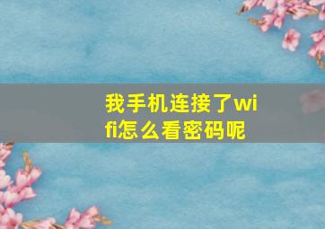 我手机连接了wifi怎么看密码呢