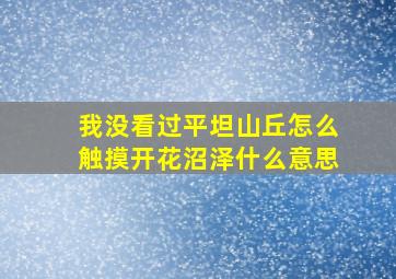 我没看过平坦山丘怎么触摸开花沼泽什么意思