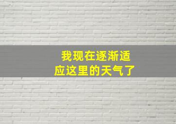 我现在逐渐适应这里的天气了