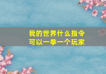 我的世界什么指令可以一拳一个玩家