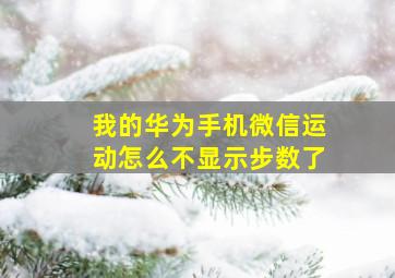 我的华为手机微信运动怎么不显示步数了