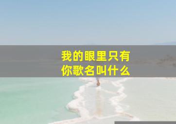 我的眼里只有你歌名叫什么