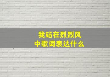 我站在烈烈风中歌词表达什么