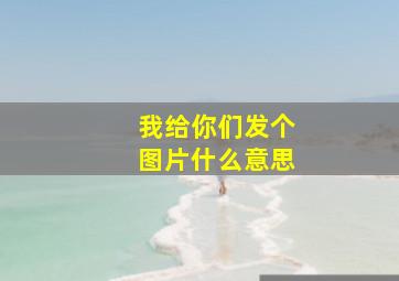 我给你们发个图片什么意思