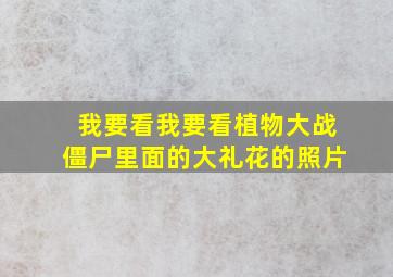 我要看我要看植物大战僵尸里面的大礼花的照片