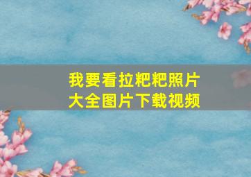 我要看拉粑粑照片大全图片下载视频