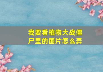 我要看植物大战僵尸里的图片怎么弄