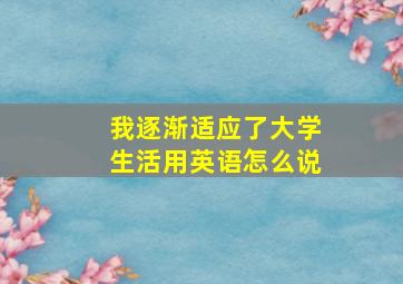 我逐渐适应了大学生活用英语怎么说