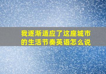 我逐渐适应了这座城市的生活节奏英语怎么说