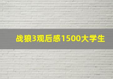 战狼3观后感1500大学生