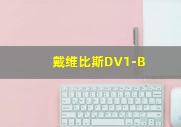 戴维比斯DV1-B