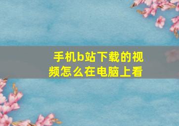 手机b站下载的视频怎么在电脑上看