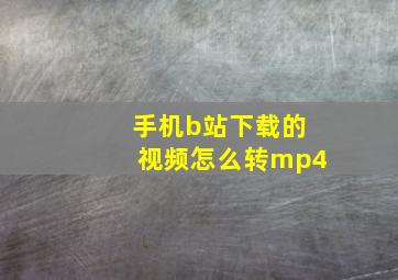 手机b站下载的视频怎么转mp4