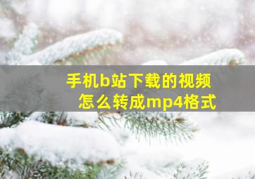 手机b站下载的视频怎么转成mp4格式