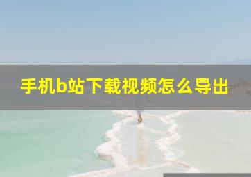 手机b站下载视频怎么导出