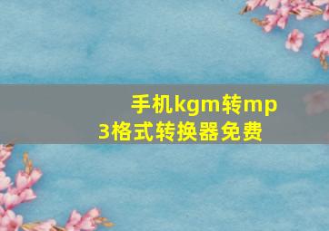 手机kgm转mp3格式转换器免费