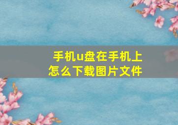 手机u盘在手机上怎么下载图片文件