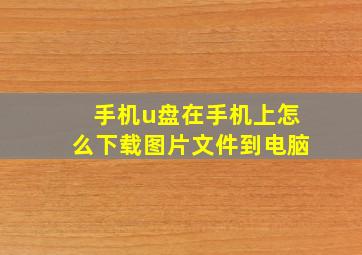 手机u盘在手机上怎么下载图片文件到电脑