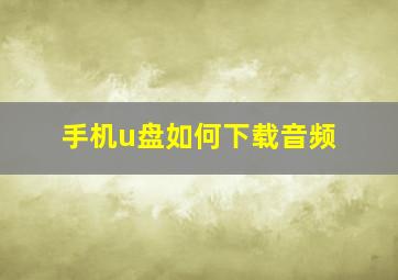 手机u盘如何下载音频