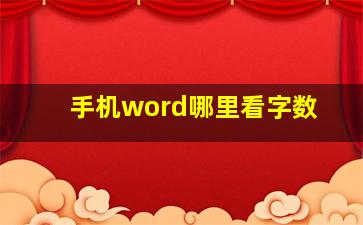 手机word哪里看字数