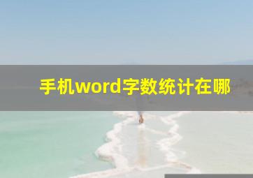 手机word字数统计在哪