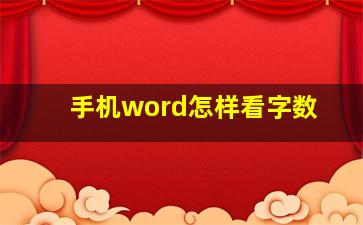 手机word怎样看字数