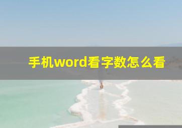 手机word看字数怎么看