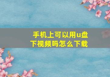 手机上可以用u盘下视频吗怎么下载