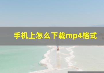 手机上怎么下载mp4格式