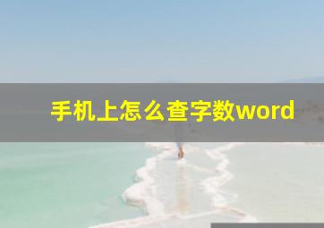 手机上怎么查字数word