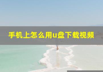 手机上怎么用u盘下载视频