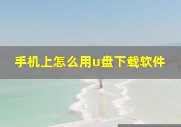 手机上怎么用u盘下载软件