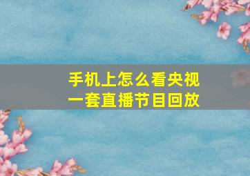 手机上怎么看央视一套直播节目回放