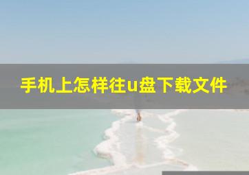 手机上怎样往u盘下载文件