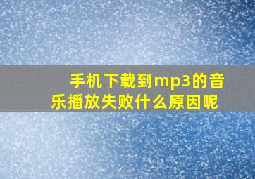 手机下载到mp3的音乐播放失败什么原因呢