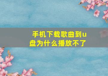 手机下载歌曲到u盘为什么播放不了