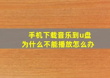 手机下载音乐到u盘为什么不能播放怎么办