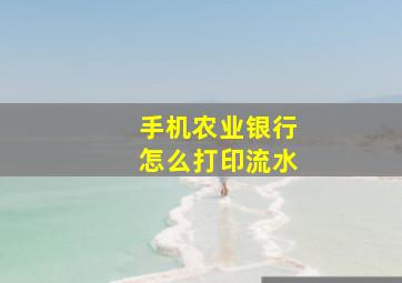 手机农业银行怎么打印流水