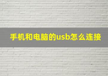 手机和电脑的usb怎么连接