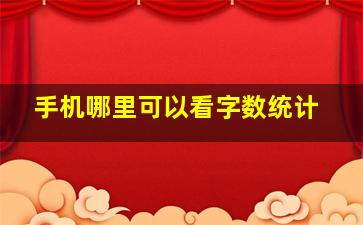 手机哪里可以看字数统计