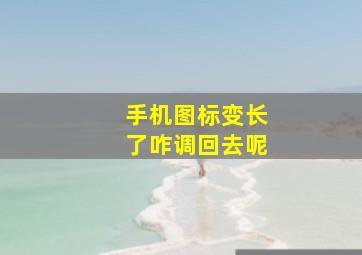 手机图标变长了咋调回去呢