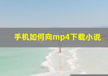 手机如何向mp4下载小说