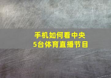 手机如何看中央5台体育直播节目