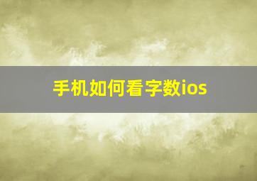 手机如何看字数ios