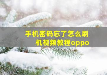 手机密码忘了怎么刷机视频教程oppo